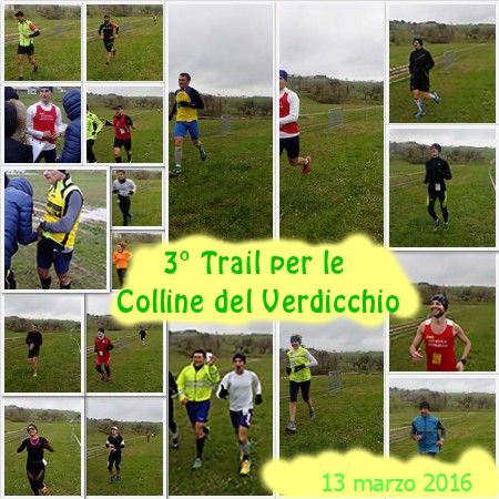 trail_collage